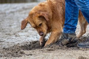Retention Pond Digging